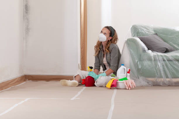 Reliable Mold Testing contractor in Hurlock, MD by WQB Mold Removal